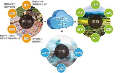 他山之石可以攻玉 借鑒美國農(nóng)業(yè)信息化經(jīng)驗(yàn)，以信息技術(shù)咨詢服務(wù)升級中國農(nóng)民